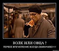 ВОЛК ИЛИ ОВЦА ? ПЕРВОЕ ВПЕЧАТЛЕНИЕ ВСЕГДА ОБМАНЧИВО ! ! !