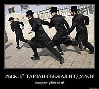 РЫЖИЙ ТАРЗАН СБЕЖАЛ ИЗ ДУРКИ! скорее убегаем!