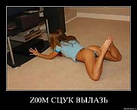 Z00M СЦУК ВЫЛАЗЬ 
