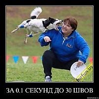 ЗА 0.1 СЕКУНД ДО 30 ШВОВ 