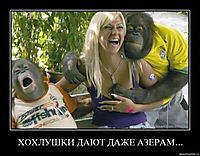 ХОХЛУШКИ ДАЮТ ДАЖЕ АЗЕРАМ... 