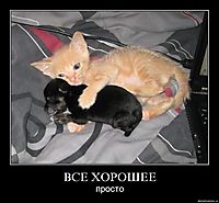 ВСЕ ХОРОШЕЕ просто