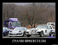 ГРАЧИ ПРИЛЕТЕЛИ 