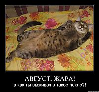 АВГУСТ, ЖАРА! а как ты выживал в такое пекло?!