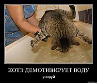 КОТЭ ДЕМОТИВИРУЕТ ВОДУ уверуй