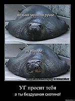 УГ просит тебя