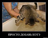 ПРОСТО ДОБАВЬ КОТЭ 