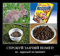 СПРОБУЙ ЗАЯЧИЙ ПОМЕТ! он - ядреный! он проймет!