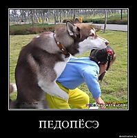 ПЕДОПЁСЭ 