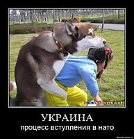 УКРАИНА процесс вступления в нато