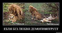 ЕБЛЯ БЕЗ ЛЮБВИ ДЕМОТИВИТРУЕТ 