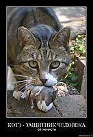 КОТЭ - ЗАЩИТНИК ЧЕЛОВЕКА от нечисти