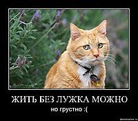 ЖИТЬ БЕЗ ЛУЖКА МОЖНО но грустно :(