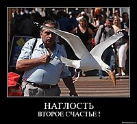 НАГЛОСТЬ ВТОРОЕ СЧАСТЬЕ !