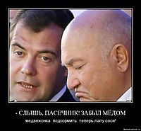 - СЛЫШЬ, ПАСЕЧНИК! ЗАБЫЛ МЁДОМ медвежонка  подкормить. теперь лапу соси!