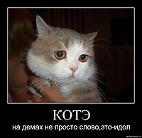 КОТЭ на демах не просто слово,это-идол