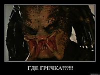 ГДЕ ГРЕЧКА???!!! 