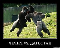 ЧЕЧНЯ VS. ДАГЕСТАН 