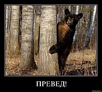 ПРЕВЕД! 