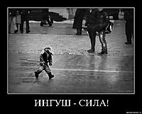 ИНГУШ - СИЛА! 