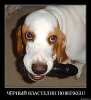 ЧЁРНЫЙ ВЛАСТЕЛИН ПОВЕРЖЕН! 