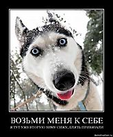 ВОЗЬМИ МЕНЯ К СЕБЕ Я ТУТ УЖЕ ВТОРУЮ ЗИМУ СИЖУ, БЛЯТЬ ПРИВЯЗАЛИ