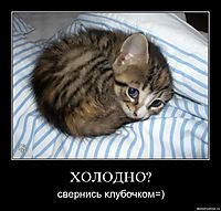 ХОЛОДНО? свернись клубочком=)