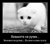 Возьмите на ручки... Возьмите на ручки... На шею я сама залезу