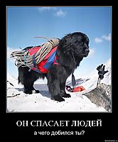 ОН СПАСАЕТ ЛЮДЕЙ а чего добился ты?