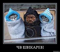 ЧВ ШИКАРЕН 
