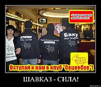 ШАВКАЗ - СИЛА! 