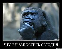 ЧТО БЫ ЗАПОСТИТЬ СЕГОДНЯ 