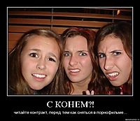 С КОНЕМ?! читайте контракт, перед тем как сняться в порнофильме...