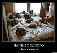 НАЧНИ С ОДНОГО собери коллекцию
