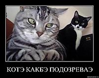 КОТЭ КАКБЭ ПОДОЗРЕВАЭ 