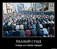 ЁБАНЫЙ СТЫД теперь и в твоём городе!