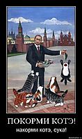 ПОКОРМИ КОТЭ! накорми котэ, сука!