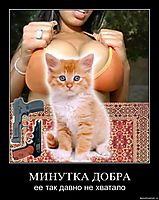 МИНУТКА ДОБРА ее так давно не хватало