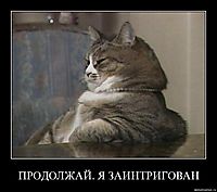 ПРОДОЛЖАЙ. Я ЗАИНТРИГОВАН 