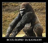 ВСЕХ ПОРВУ ЗА КАУКАЗ!!! 
