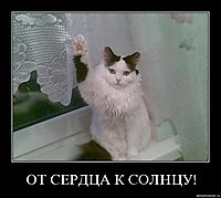 ОТ СЕРДЦА К СОЛНЦУ! 