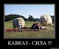 КАВКАЗ - СИЛА !!! 