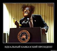 ИДЕАЛЬНЫЙ КАВКАЗСКИЙ ПРЕЗИДЕНТ 