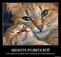 ЦЕНИТЕ РОДИТЕЛЕЙ и хотя, кажется что время лечит, я всё равно часто вижу всвоих снах...
