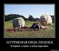 ШТУРМОВАЯ ОВЦА-ЛЮДОЕД И кормит, и греет, и жопу подставит.
