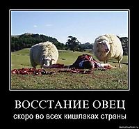 ВОССТАНИЕ ОВЕЦ скоро во всех кишлаках страны