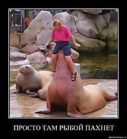 ПРОСТО ТАМ РЫБОЙ ПАХНЕТ 