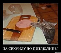 ЗА СЕКУНДУ ДО ПИЗДЮЛИНЫ 