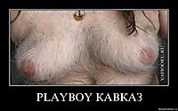 PLAYBOY КАВКАЗ 