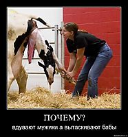 ПОЧЕМУ? вдувают мужики а вытаскивают бабы
